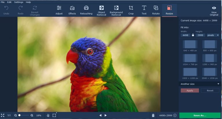review of movavi photo editor
