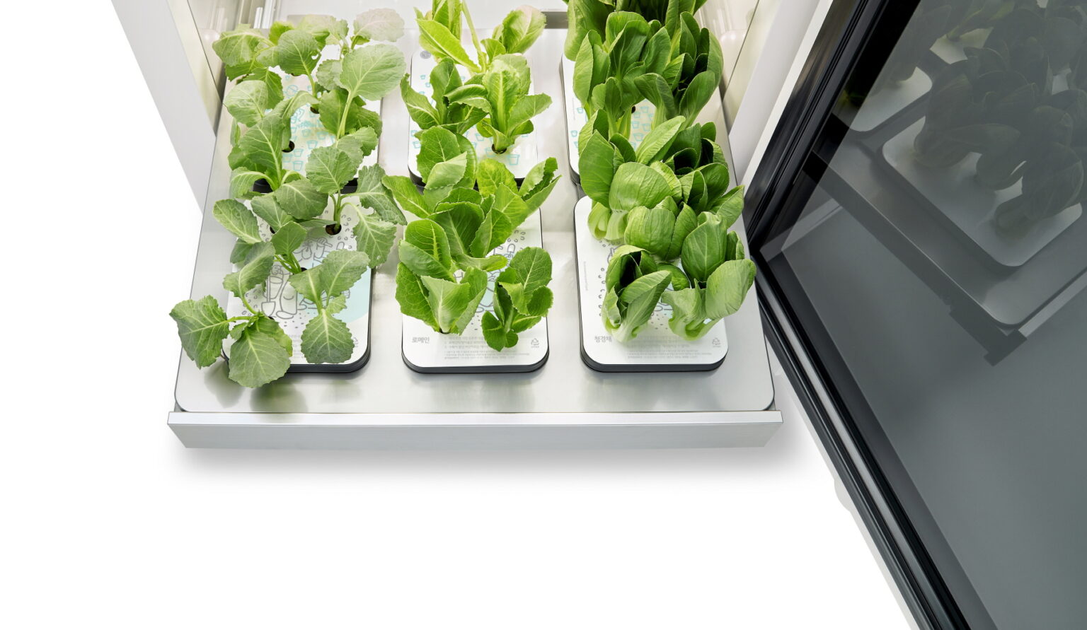LG Tiiun Smart Indoor Gardening Appliance To Be Showcased at CES 2022